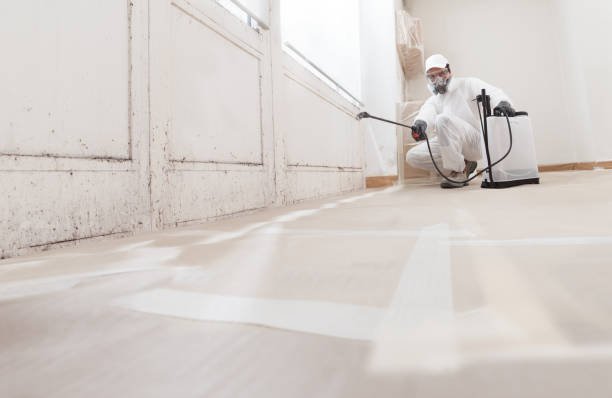 24/7 Emergency Basement Mold Remediation experts in Union City, PA