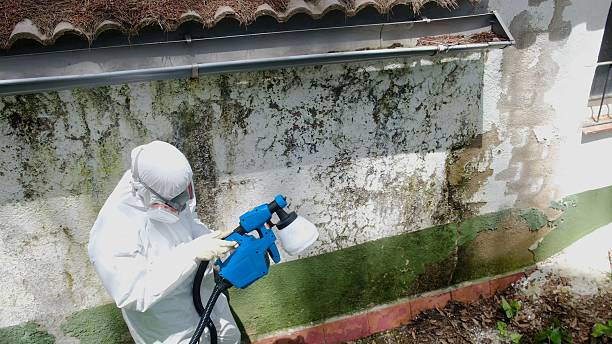 Top rated local Basement Mold Remediation specialists in Union City, PA